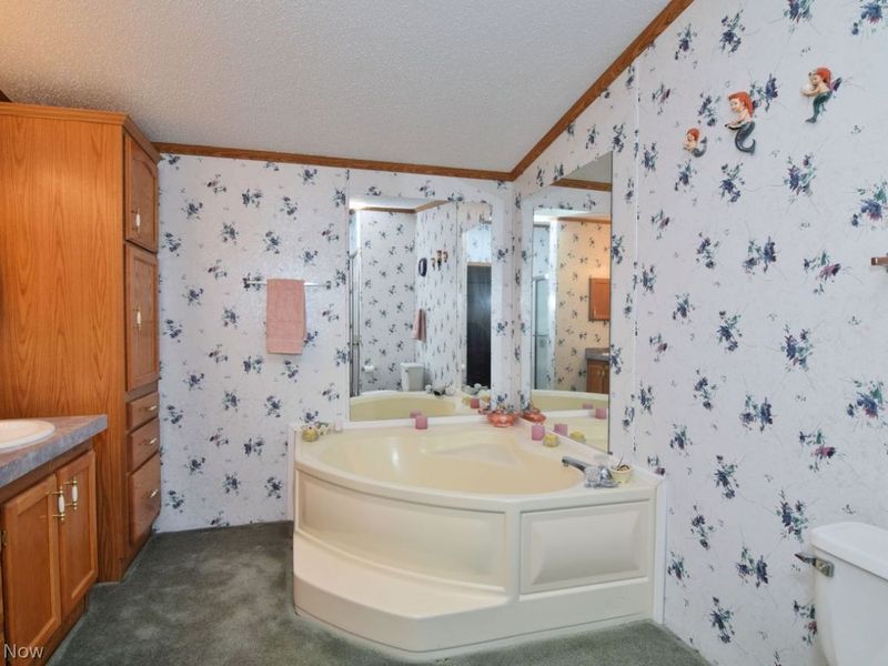 222 Troy Oaks Drive, Hiram, OH 44234 Photo 17