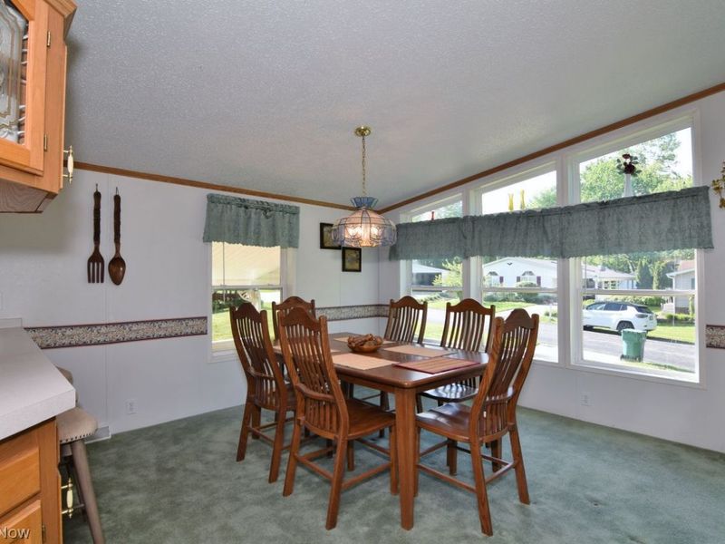 222 Troy Oaks Drive, Hiram, OH 44234 Photo 8