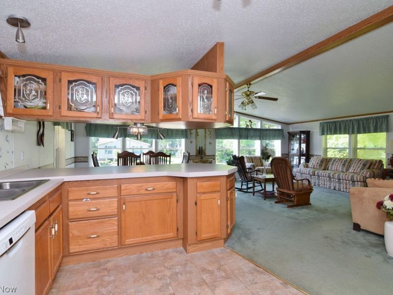 222 Troy Oaks Drive, Hiram, OH 44234 Photo 9