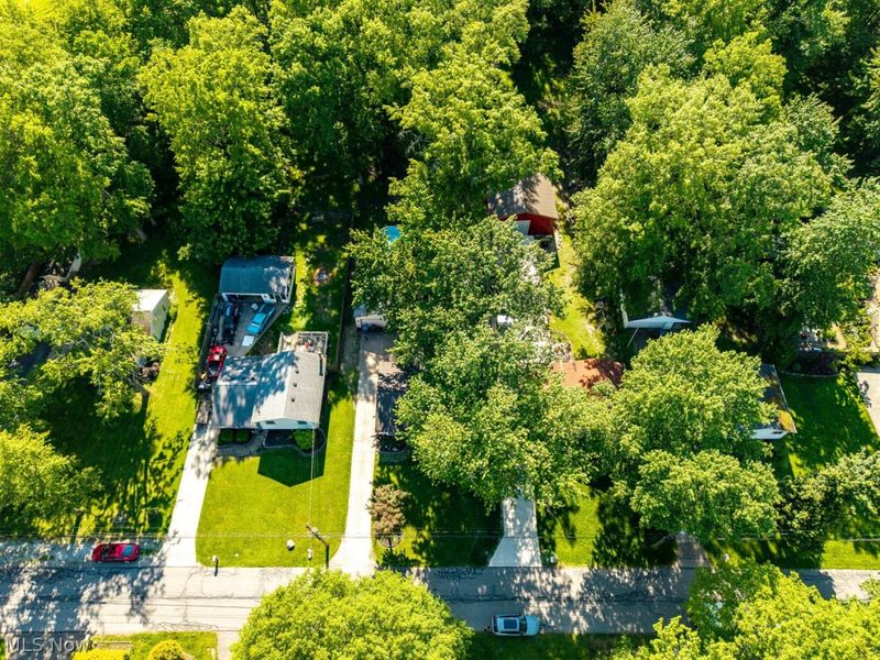 5654 Olive Avenue, North Ridgeville, OH 44039 Photo 9
