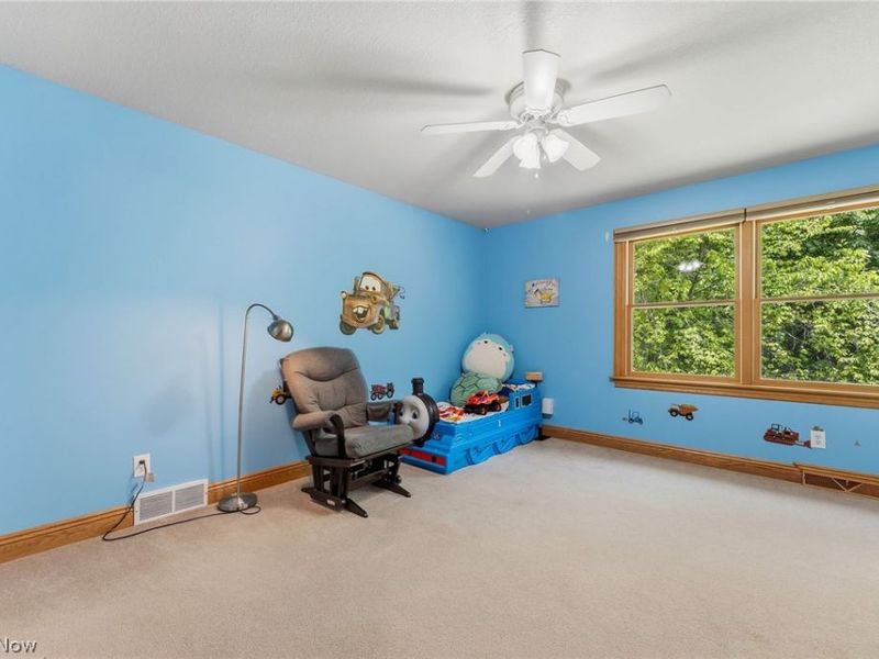 8140 Mt Royal Drive, Concord Township, OH 44077 Photo 26