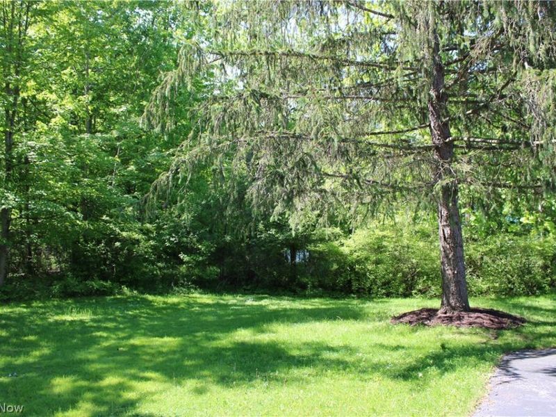 13041 Dorothy Drive, Chesterland, OH 44026 Photo 18