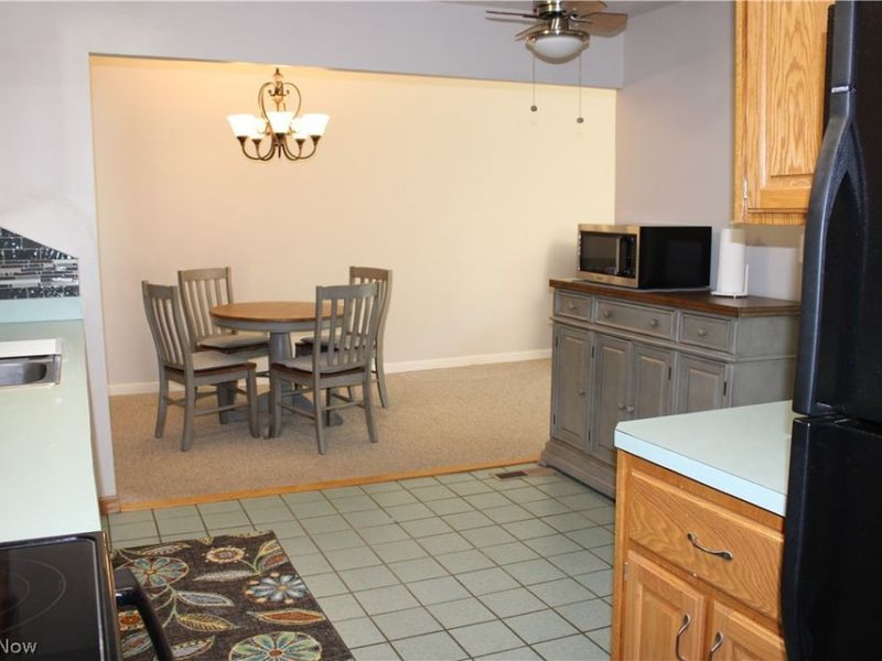 13041 Dorothy Drive, Chesterland, OH 44026 Photo 5