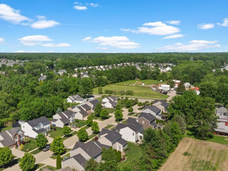 39165 Woodland Trail, Avon, OH 44011 Photo 39