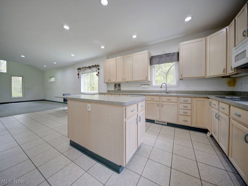 11991 Music Street , Newbury, OH 44065 Photo 19