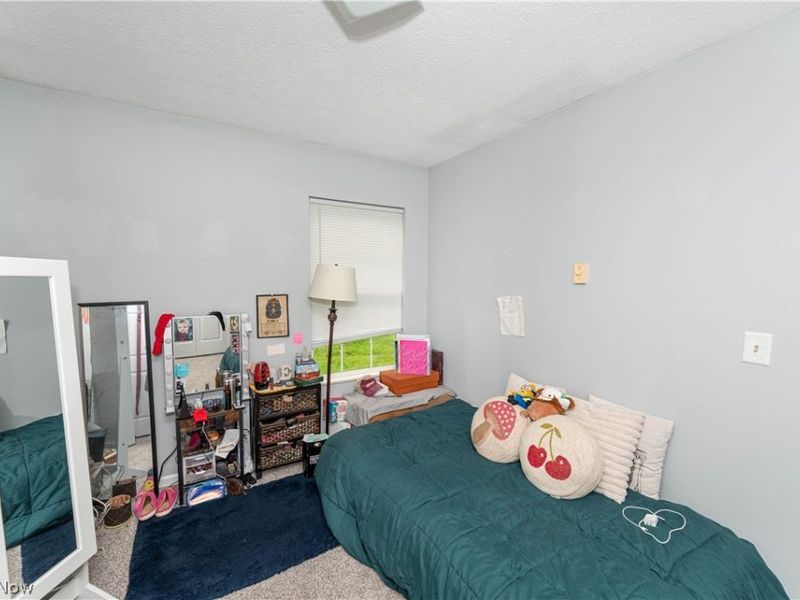 3612 Webb Road, Ravenna, OH 44266 Photo 20