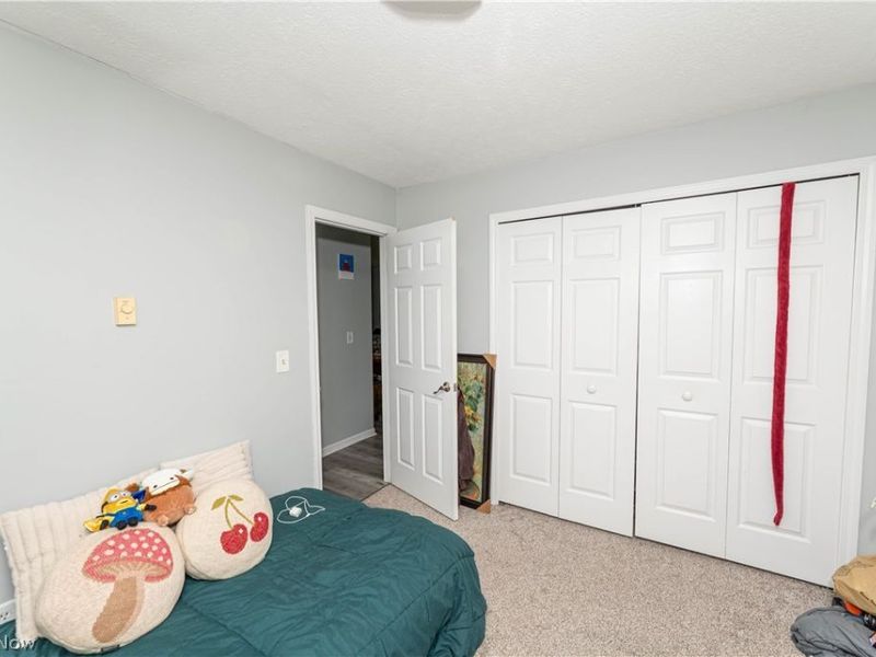 3612 Webb Road, Ravenna, OH 44266 Photo 21