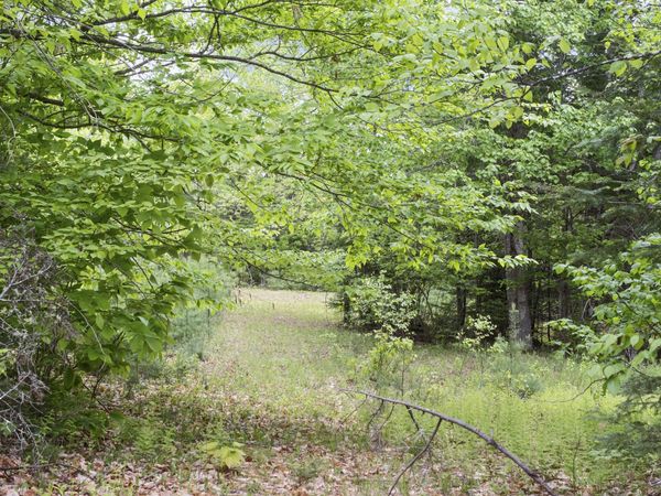 M2 L21-2 S Ridge Road , Palmyra, ME 04965