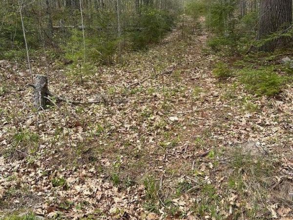 Lot 3 Morse District Road , Steuben, ME 04680