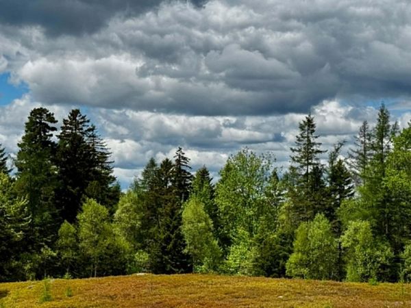 Lot 1 & 2B Elm Street , Machias, ME 04654