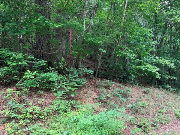 TBD N Marley Ford Road , Ferguson, NC 28624