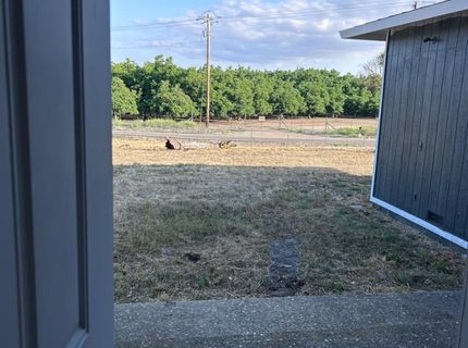 10919 Milton Rd, Valley Springs, CA 95252 Photo