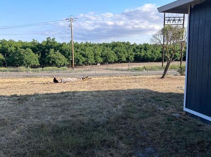 10919 Milton Rd, Valley Springs, CA 95252 Photo