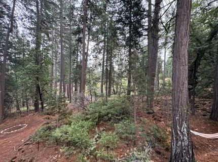 6017 Sly Park Rd, Placerville, CA 95667 Photo