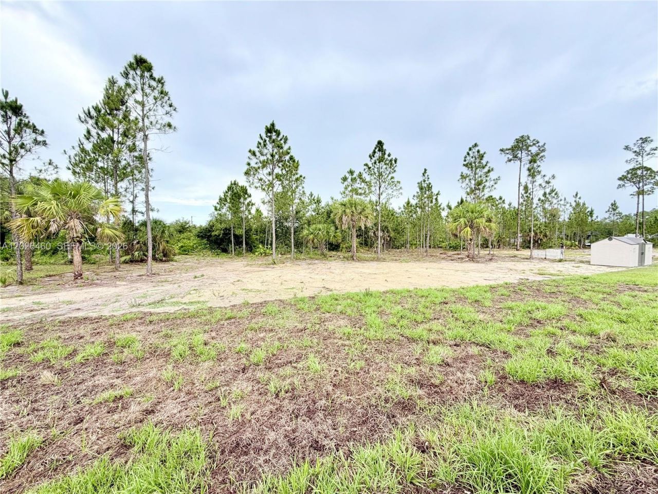 911 Cleveland Ave, Lehigh Acres, FL 33972 Photo