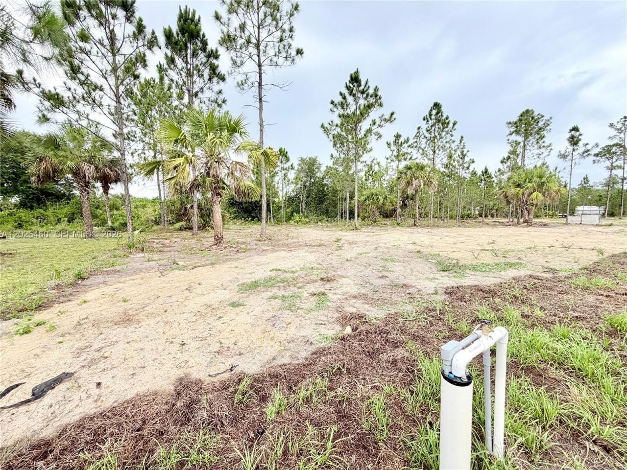 911 Cleveland Ave, Lehigh Acres, FL 33972 Photo