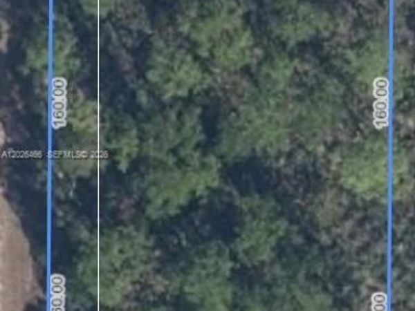1139 BROOK HOLLOW RD , Lake Placid, FL 33852
