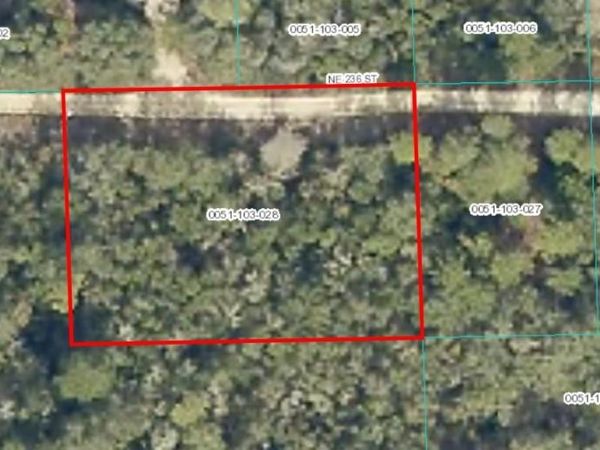 TBD NE 236 , Fort Mc Coy, FL 32134