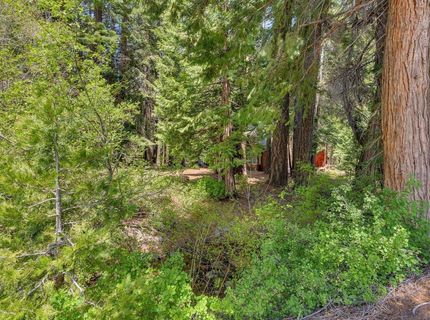 5485 Sacramento Avenue, Homewood, CA 96141 Photo