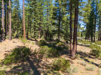 110 Bob Watson, Truckee, CA 96161 Photo