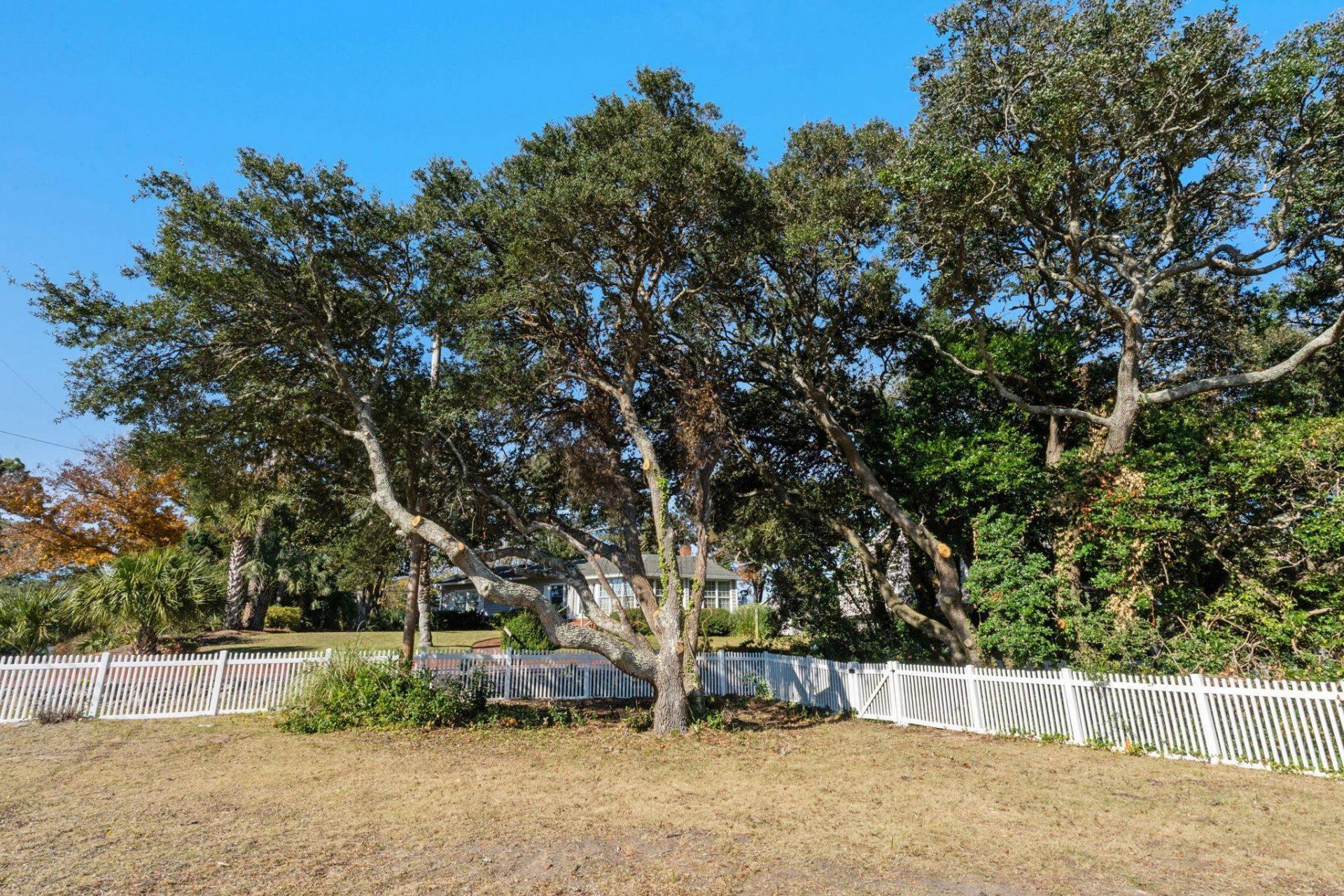 6601 N Ocean Blvd.  Photo 7