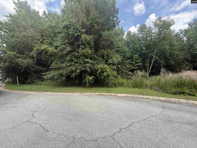 239 Fair Ridge Lane , Blythewood, SC 29016