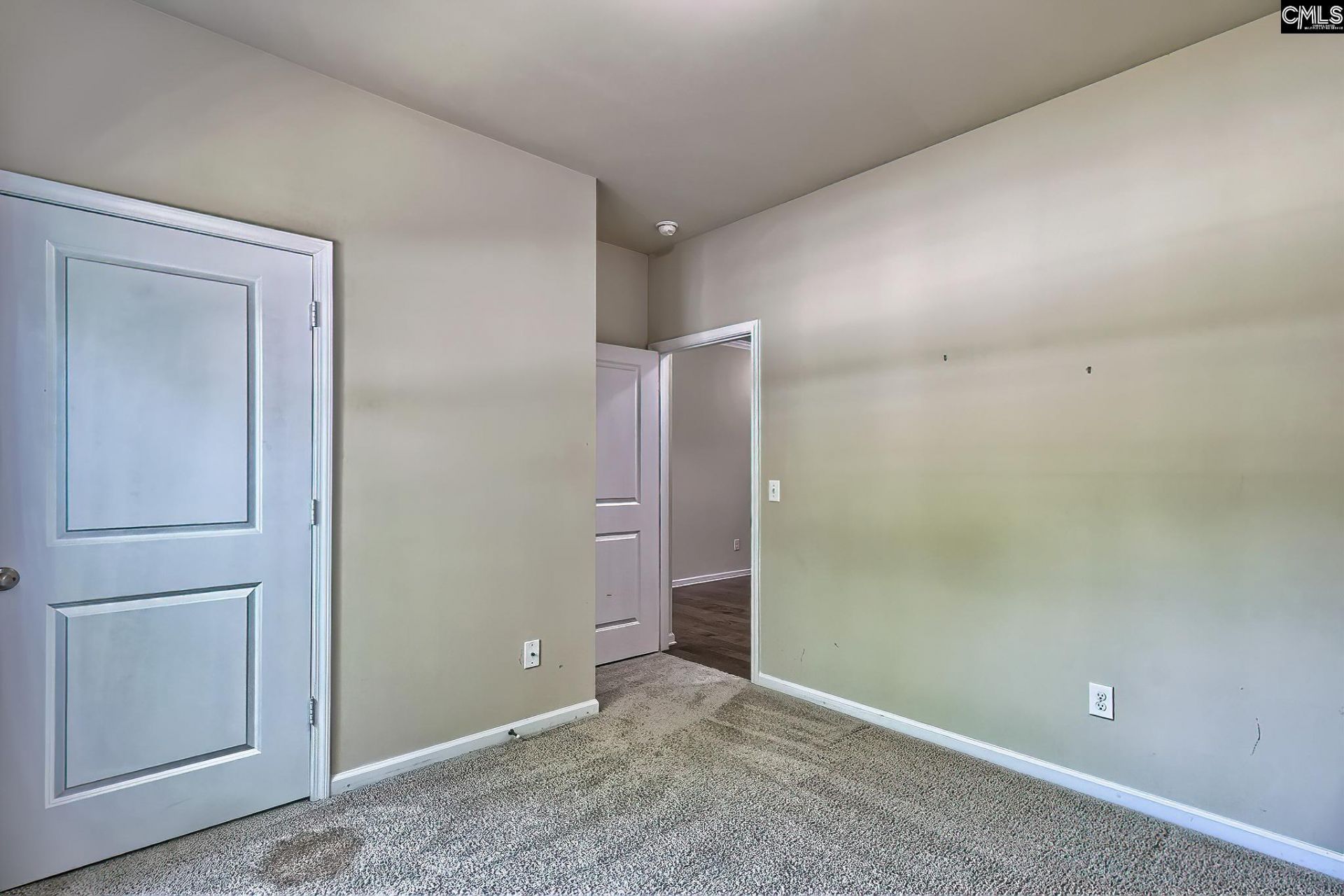 169 Crimson Queen Drive  Photo 33