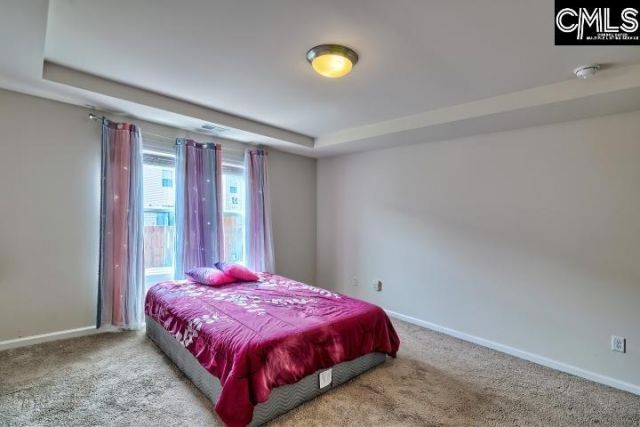 1122 Grey Pine Drive  Photo 21