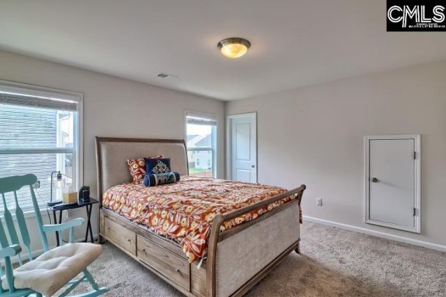 1122 Grey Pine Drive  Photo 27