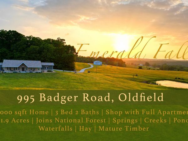 995 Badger Road , Oldfield, MO 65720