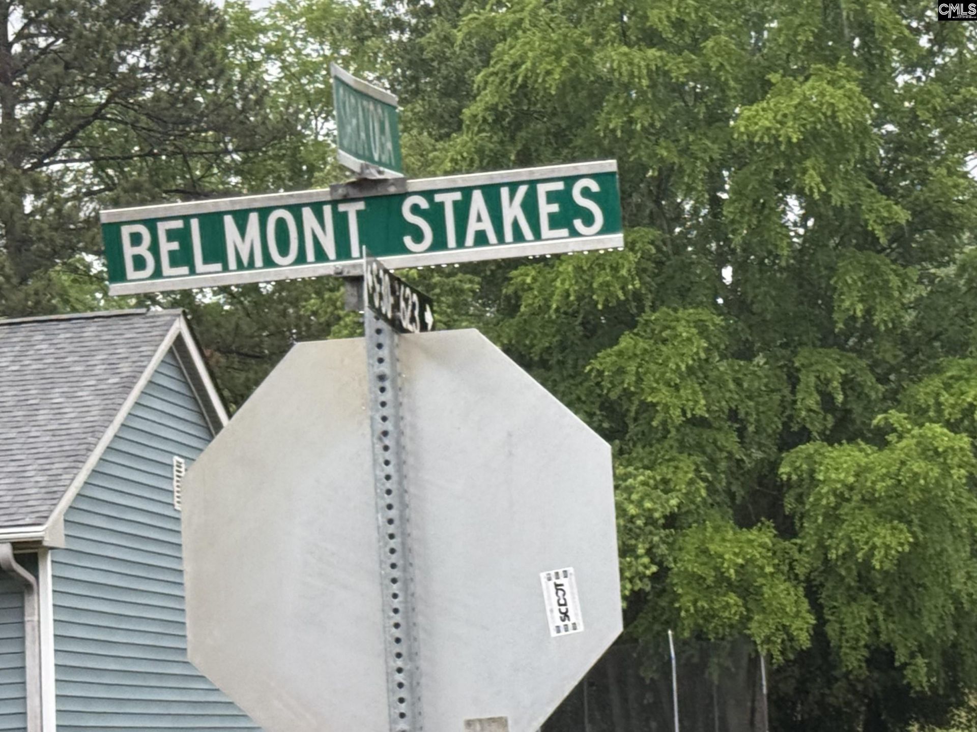 207 Belmont Stakes Photo 8