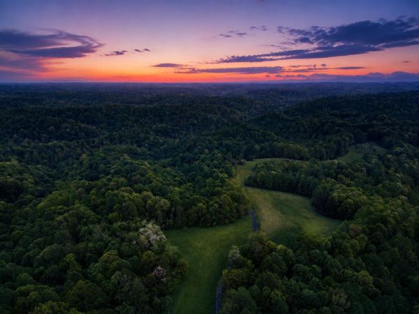 Bethpage, TN 37022