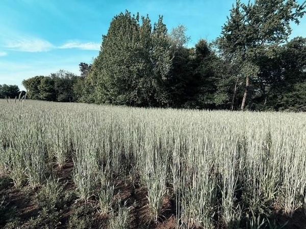 2754 20th Street, Elk Mound, WI 54739