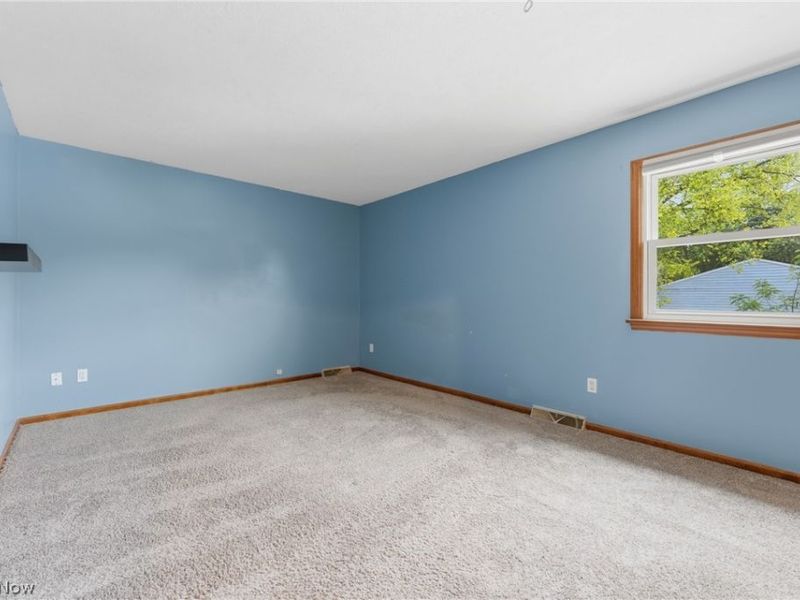 274 Alpha Avenue , Akron, OH 44312 Photo 20