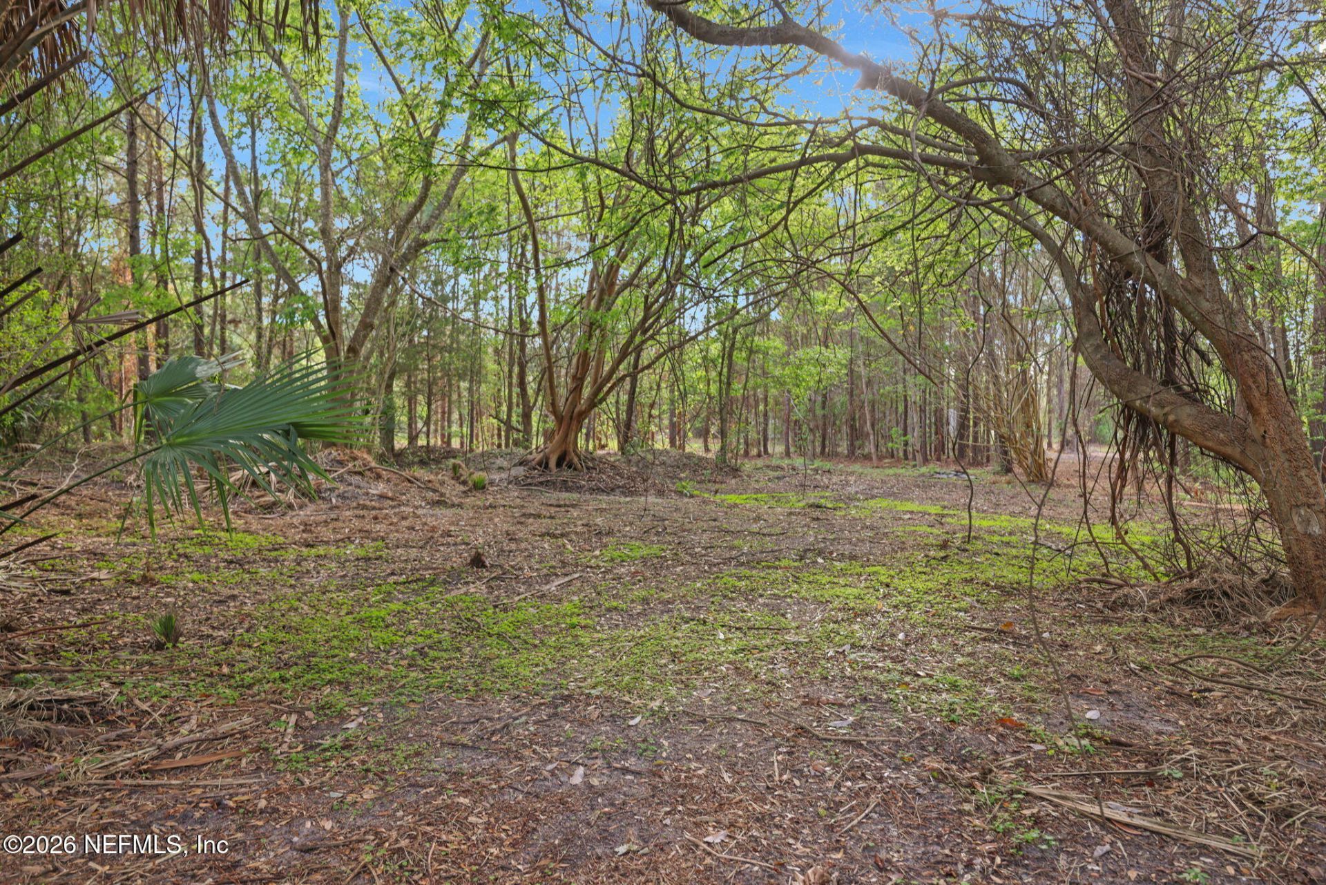 1133 Girvin Road, Jacksonville, FL 32225 Photo