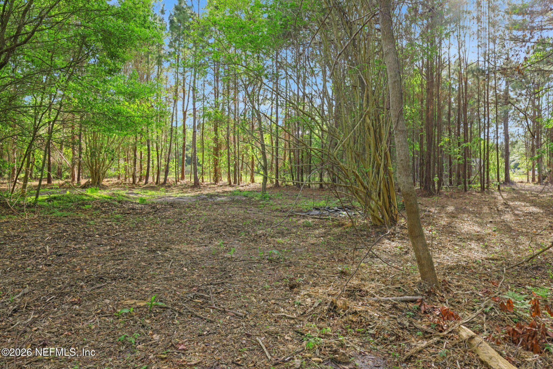 1133 Girvin Road, Jacksonville, FL 32225 Photo
