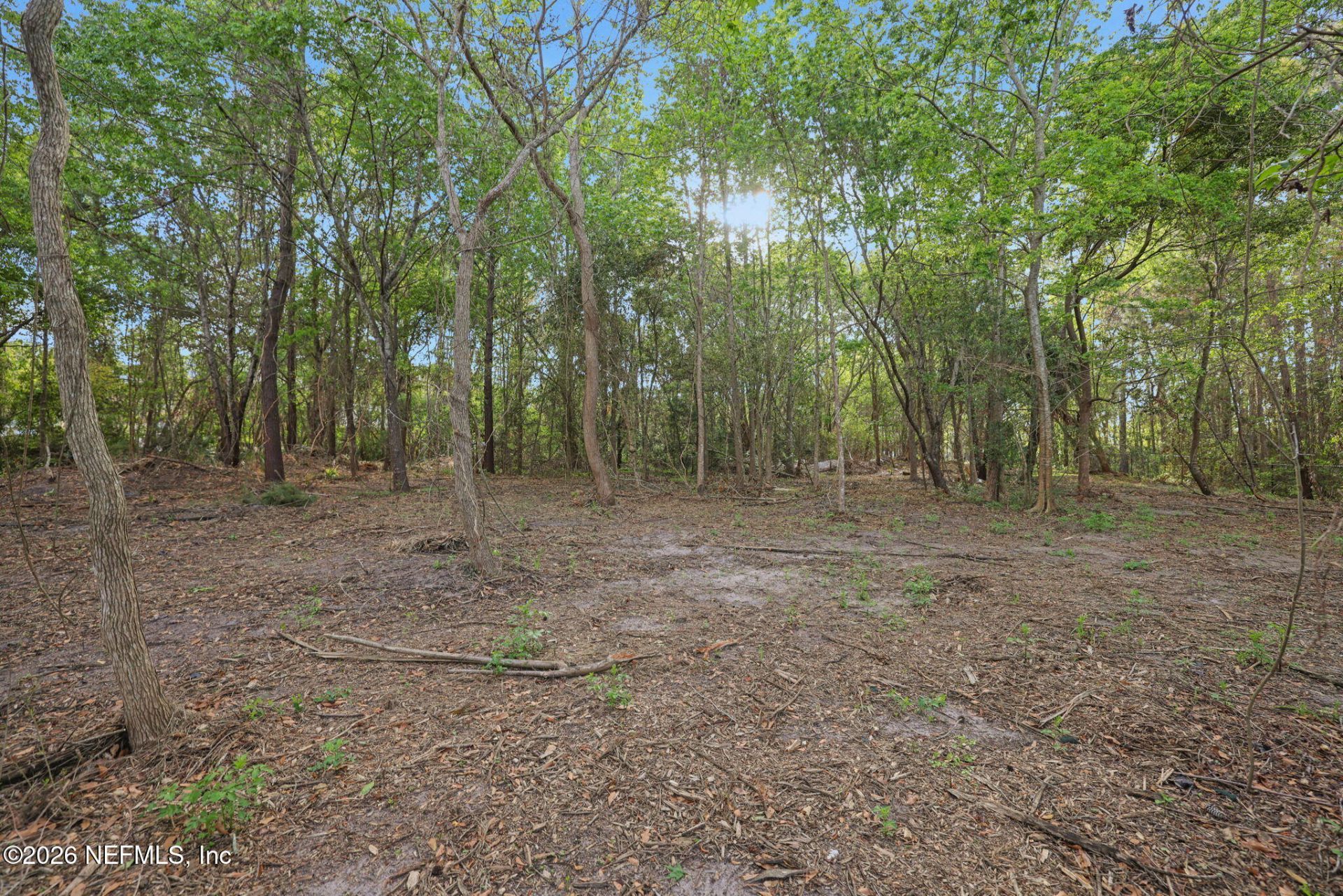 1133 Girvin Road, Jacksonville, FL 32225 Photo