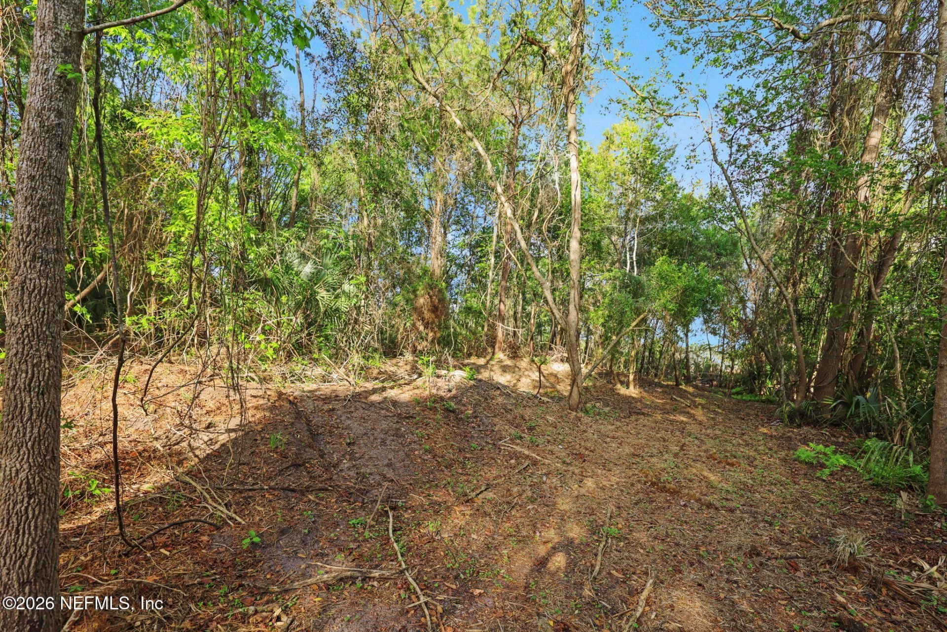 1133 Girvin Road, Jacksonville, FL 32225 Photo