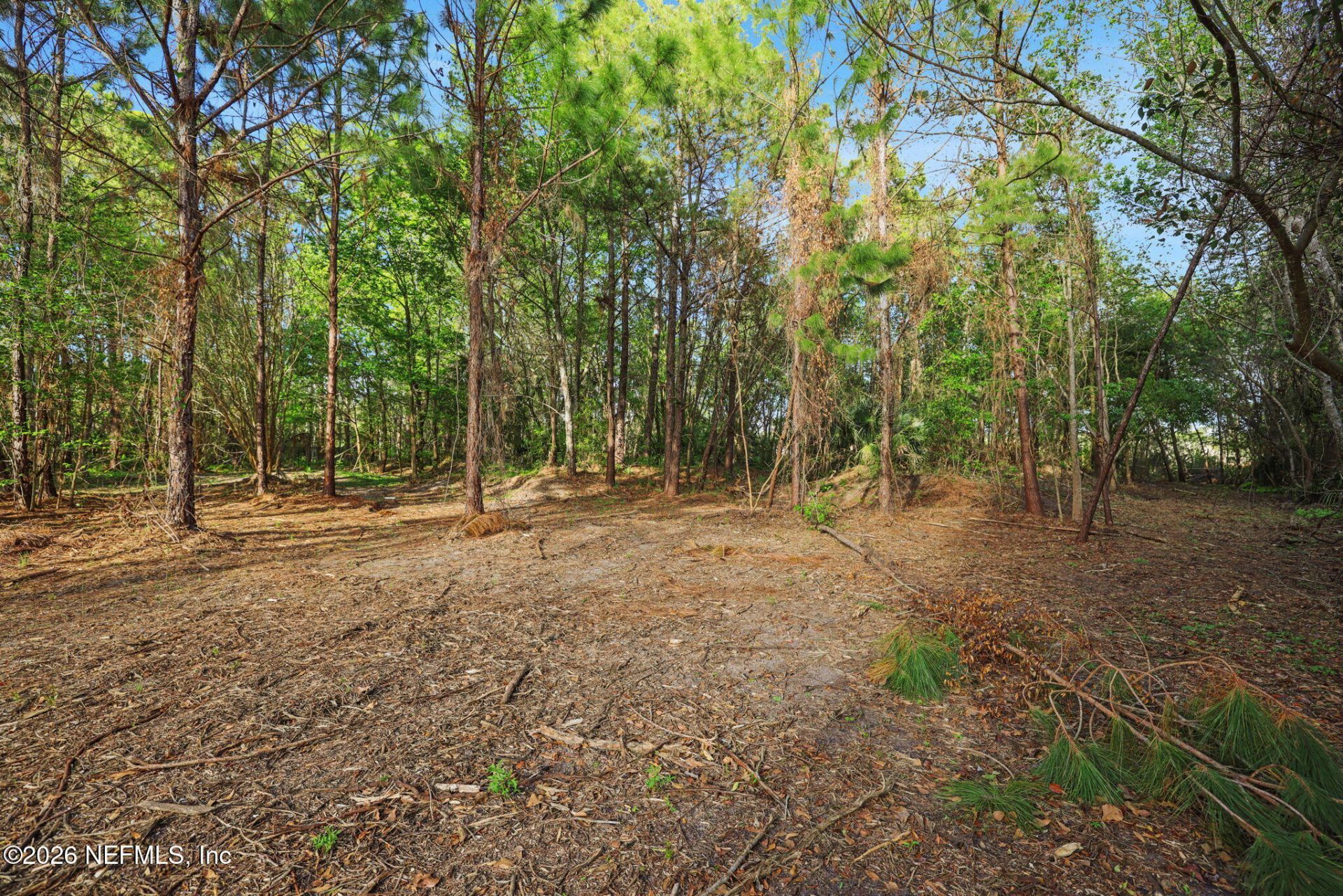 1133 Girvin Road, Jacksonville, FL 32225 Photo