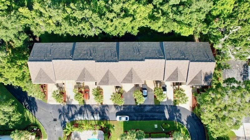 14 Seagrape Circle, Clearwater, FL 33759 Photo