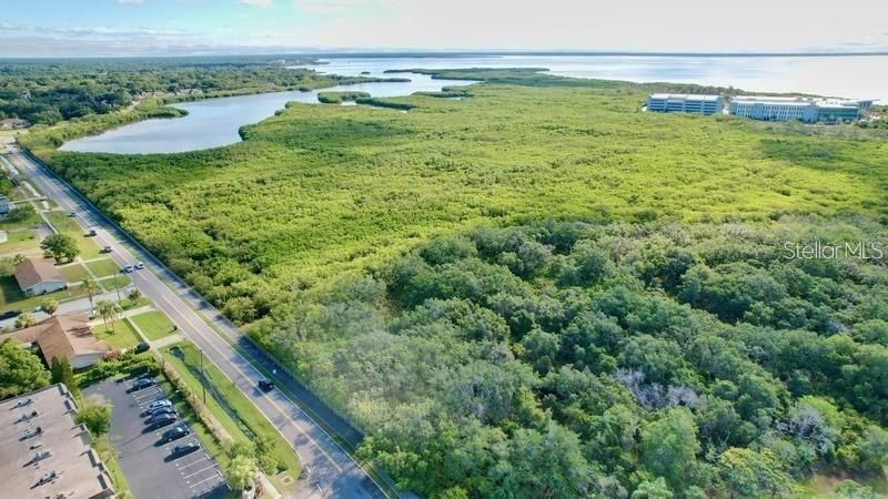 14 Seagrape Circle, Clearwater, FL 33759 Photo