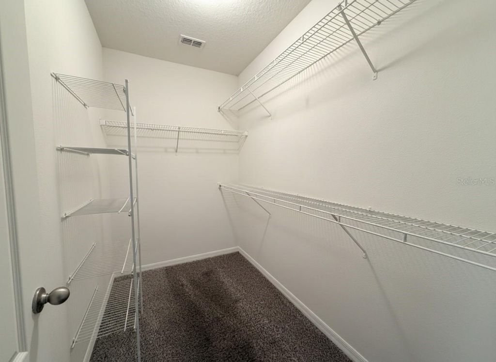 5909 Windsong Oak Drive, Leesburg, FL 34748 Photo