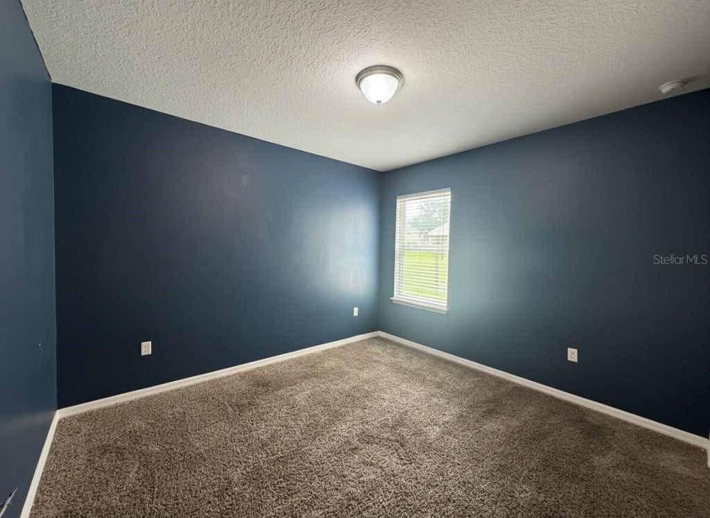 5909 Windsong Oak Drive, Leesburg, FL 34748 Photo