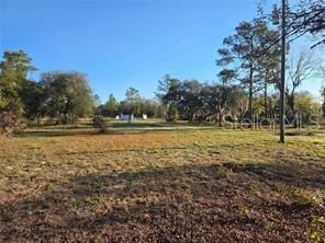 12070 NE 63rd Place, Williston, FL 32696 Photo