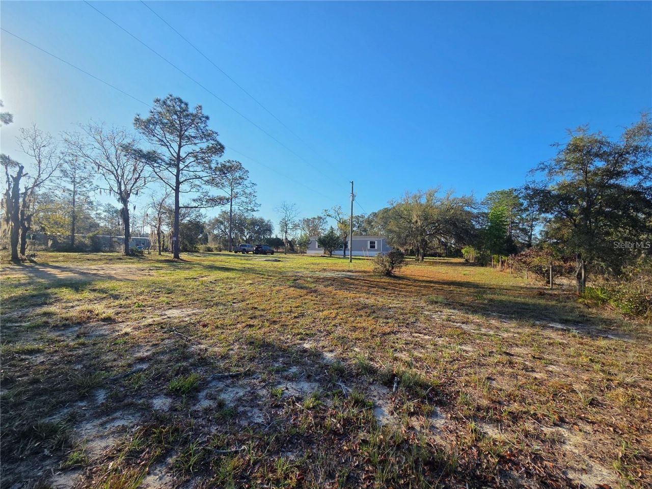 12070 NE 63rd Place, Williston, FL 32696 Photo