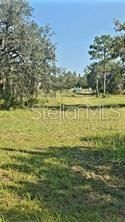12070 NE 63rd Place, Williston, FL 32696 Photo