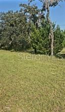 12070 NE 63rd Place, Williston, FL 32696 Photo