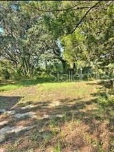 12070 NE 63rd Place, Williston, FL 32696 Photo