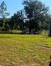 12070 NE 63rd Place, Williston, FL 32696 Photo