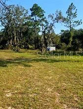 12070 NE 63rd Place, Williston, FL 32696 Photo